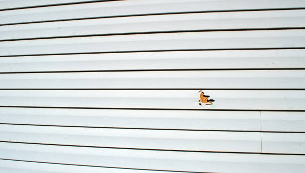 Best Weatherproofing and Sealing  in Bound Brook, NJ